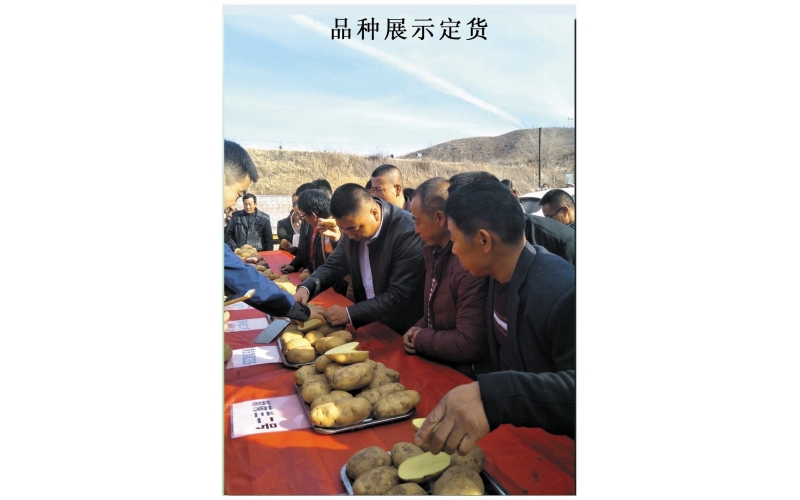 長磊農業科技開發有限公司基地(dì / de)觀摩定貨