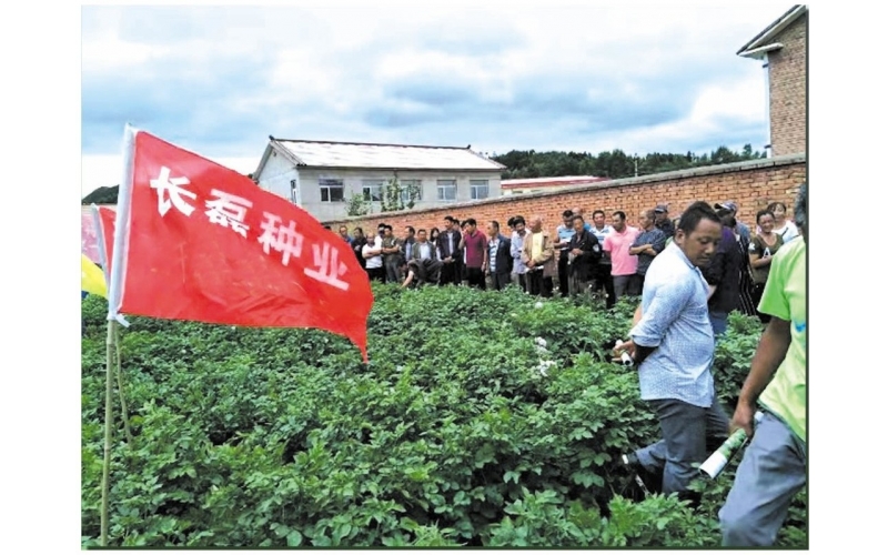 長磊農業科技開發有限公司基地(dì / de)觀摩定貨