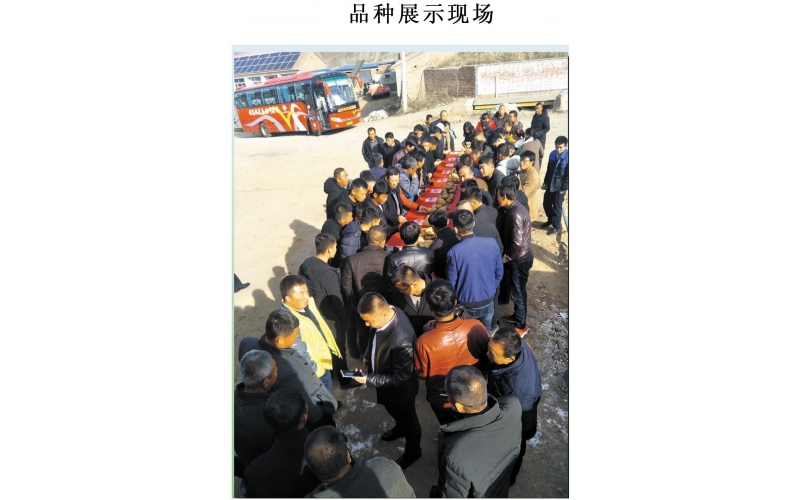 長磊農業科技開發有限公司基地(dì / de)觀摩定貨