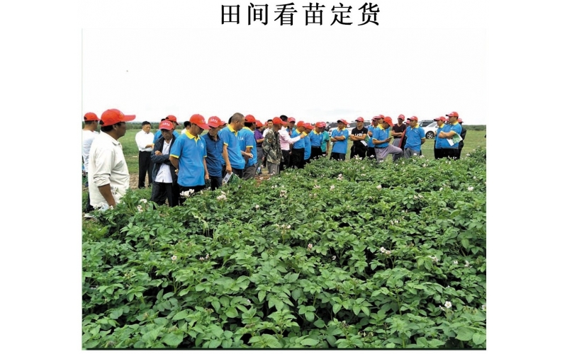 長磊農業科技開發有限公司基地(dì / de)觀摩定貨