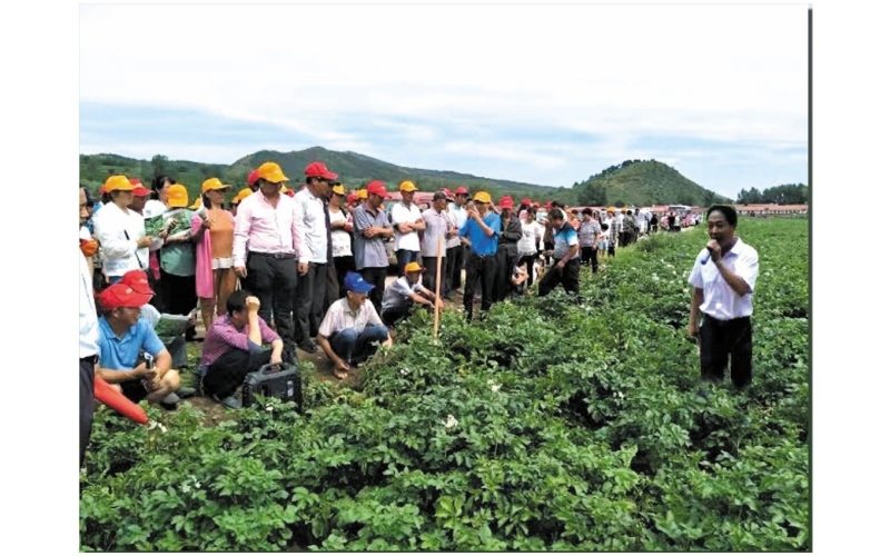 長磊農業科技開發有限公司基地(dì / de)觀摩定貨