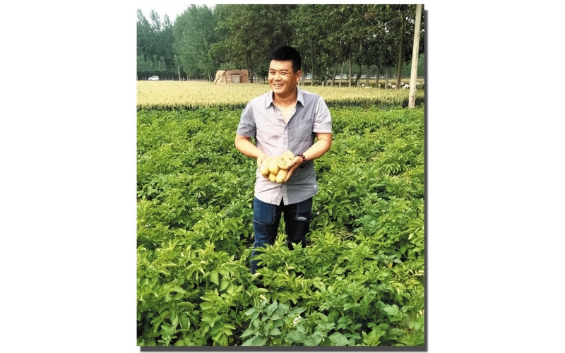 長磊公司種薯用戶在(zài)各地(dì / de)大(dà)田種植效果